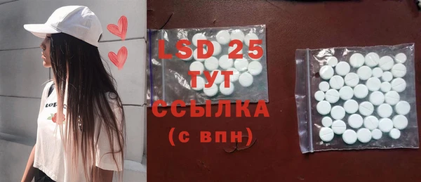 ПСИЛОЦИБИНОВЫЕ ГРИБЫ Алзамай