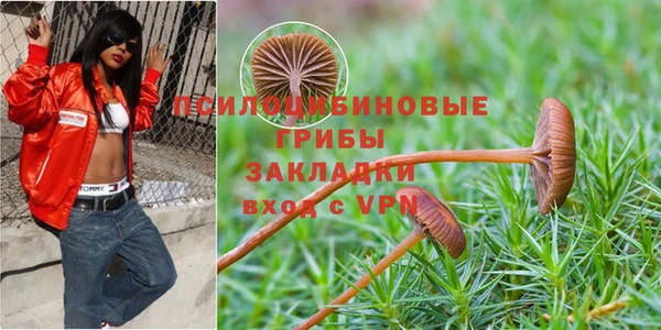 первитин Алексеевка