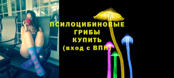ПСИЛОЦИБИНОВЫЕ ГРИБЫ Алзамай