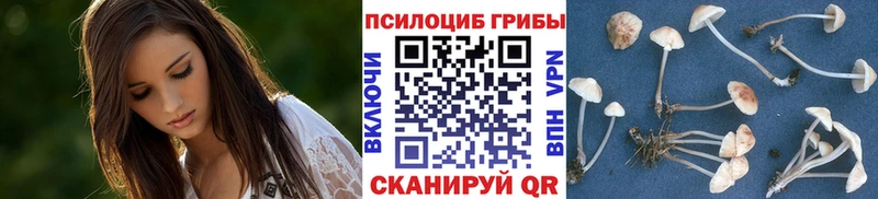 цена   Зверево  Галлюциногенные грибы GOLDEN TEACHER 